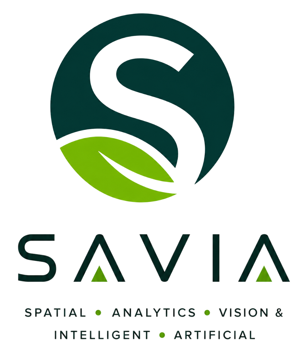 SAVIA · Spatial Analytics Vision & Intelligent Artificial