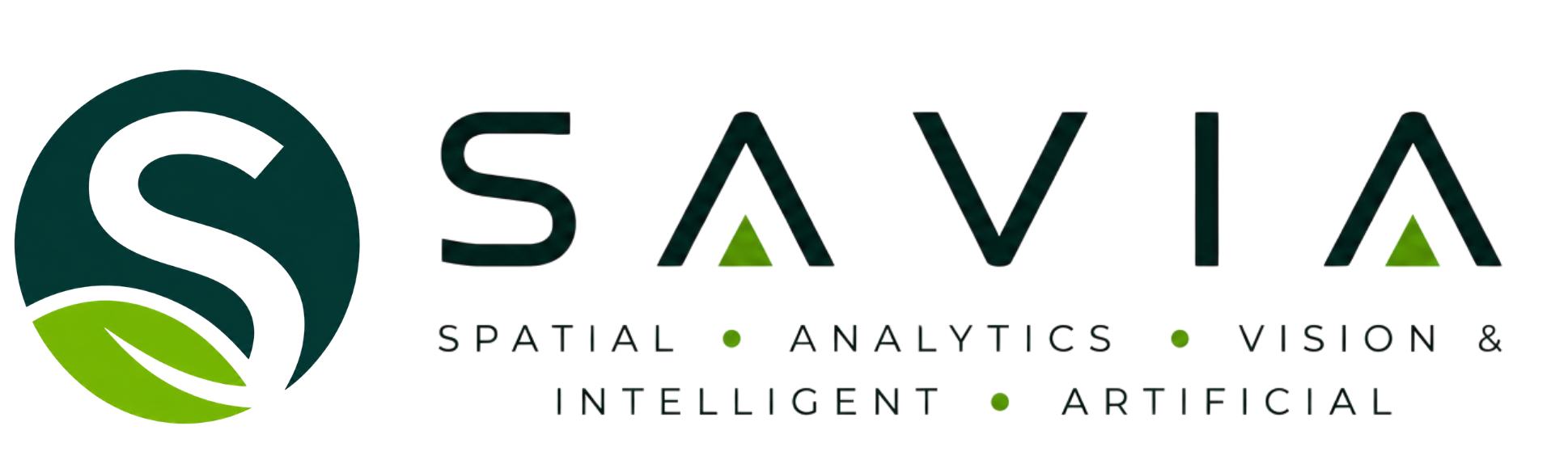 SAVIA · Spatial Analytics Vision & Intelligent Artificial